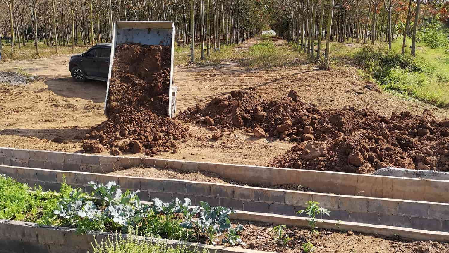 A pile of soil and sand neatly stacked on a delivery truck, ready to be transported to a construction site.