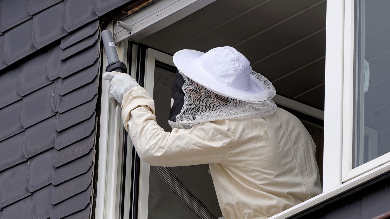 A close-up photo of a wasp nest being removed, with a person wearing protective gear and using a tool to safely remove it.