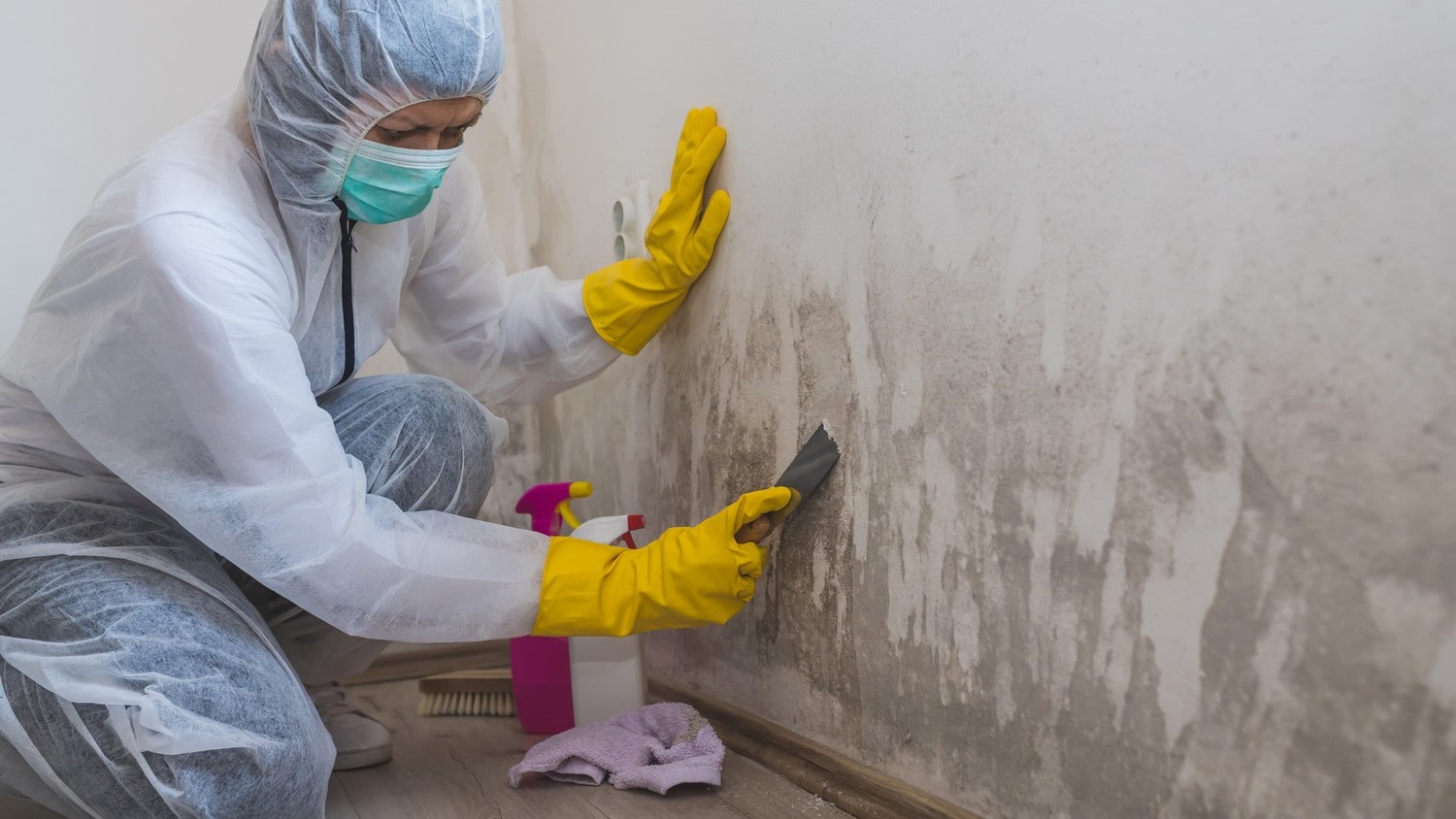 A close-up photo of a person wearing protective gloves and using a brush to remove mold from a wall.