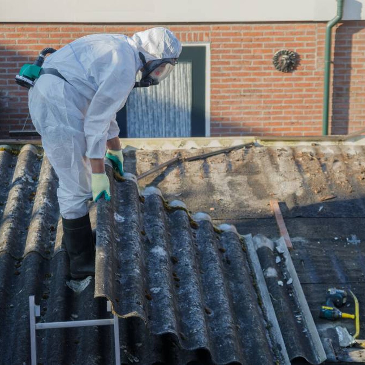 How much does it cost to remove asbestos? | Airtasker US