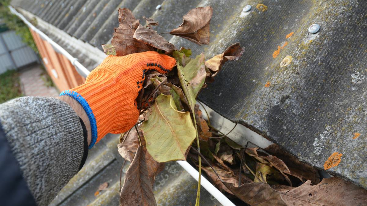 removing dried leaves on roof gutters