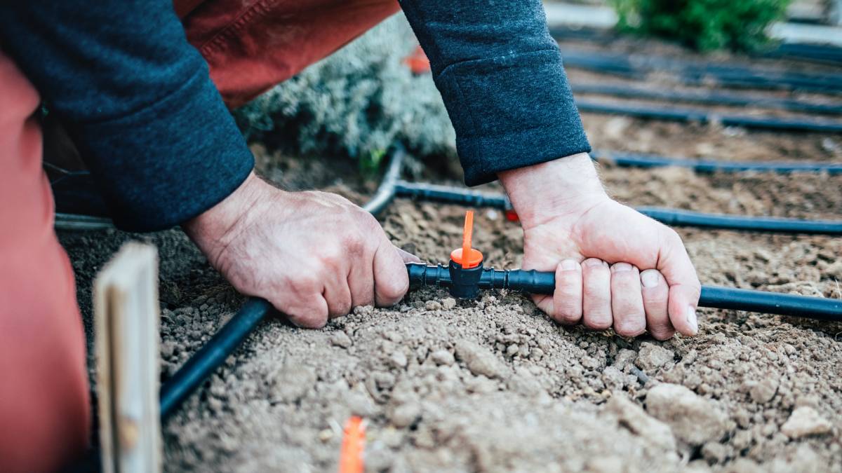 Cost to deals install sprinkler system