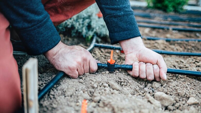 Picture of Irrigation System Installation Cost Guide | Airtasker AU