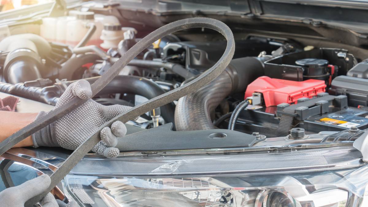 mechanic holding a timing belt