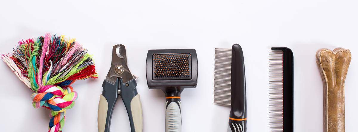 Dog Grooming Tools for Home | Airtasker AU