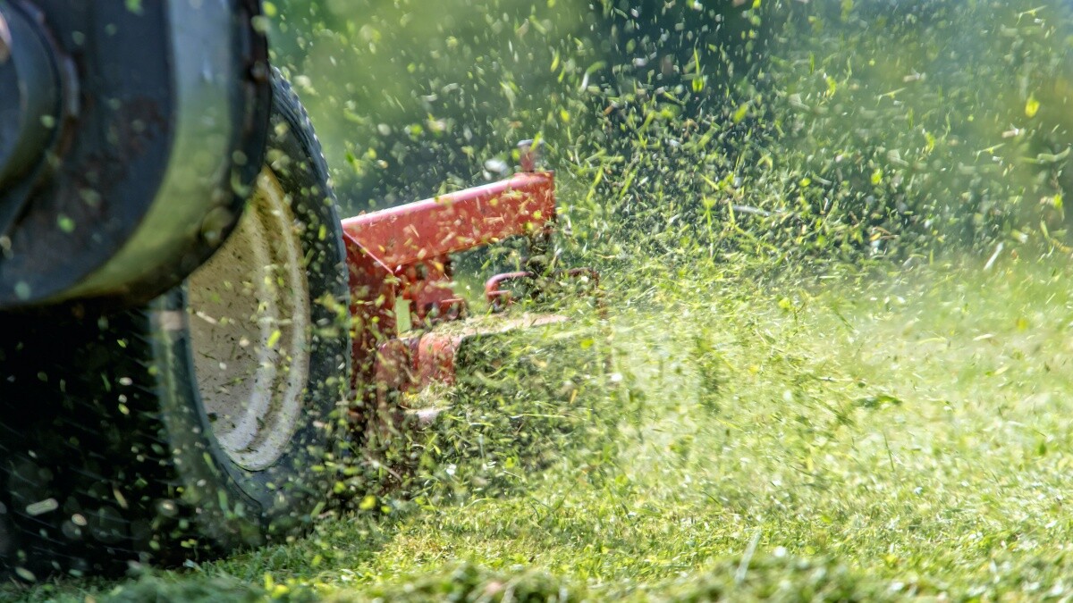 lawn mower cutting grass