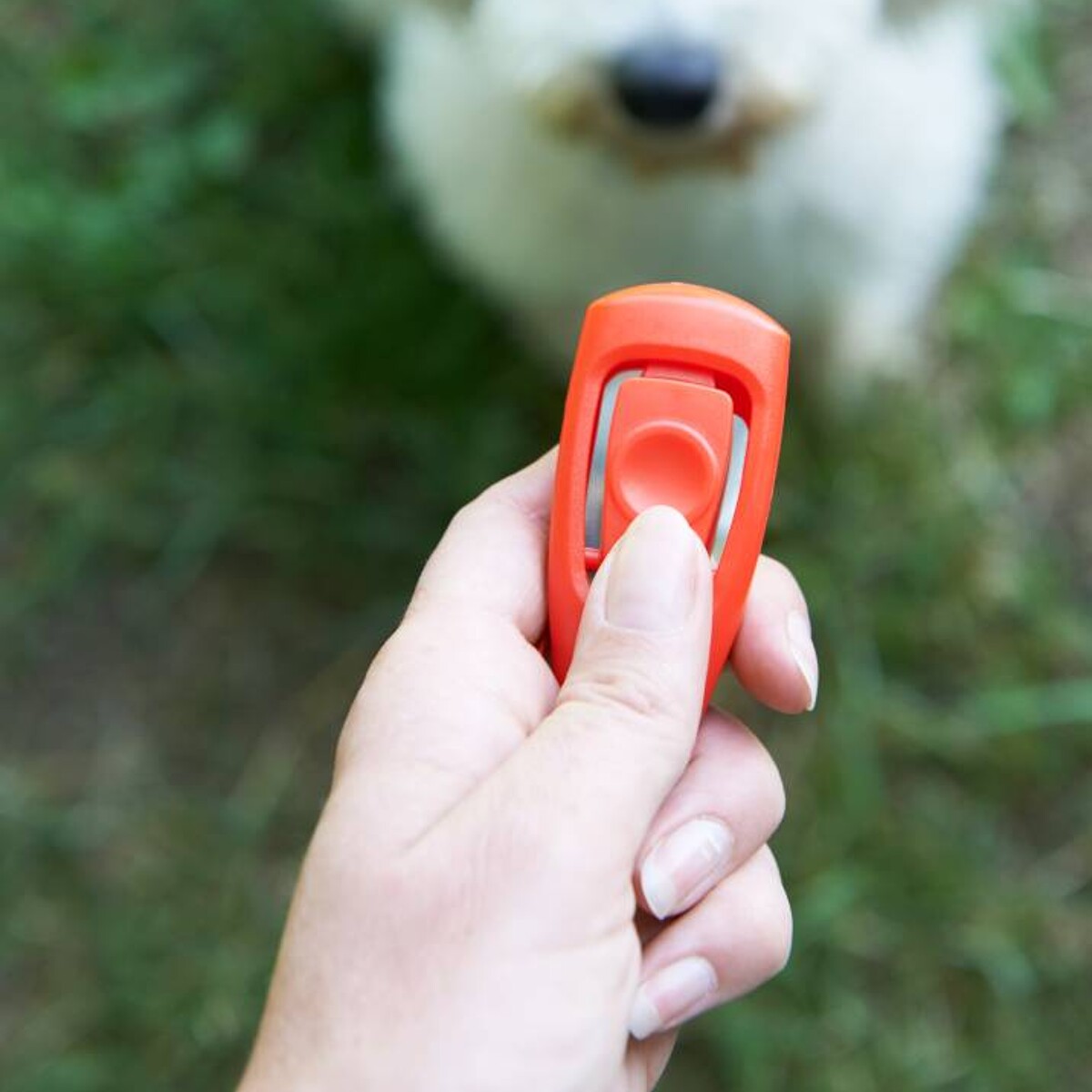 Dog Training Clicker& Whistle Pet Puppy Positive Reinforcement Training Tool