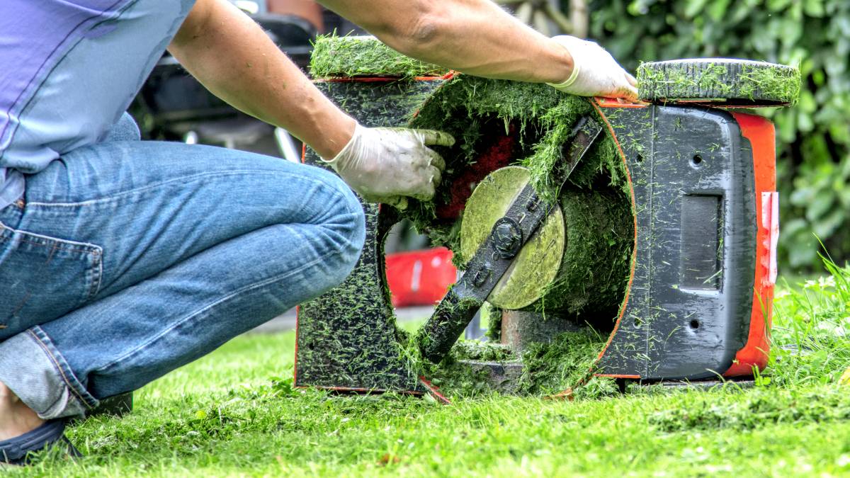 gardener checking blade of lawnmower