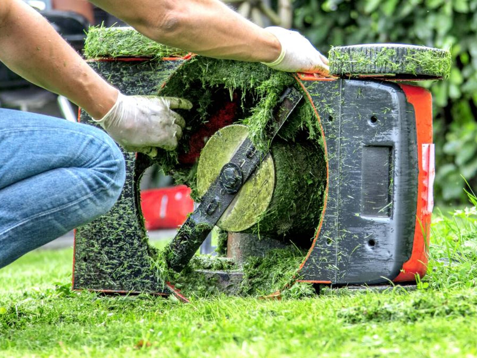 Lawn Mower Blade Sharpening Cost Guide
