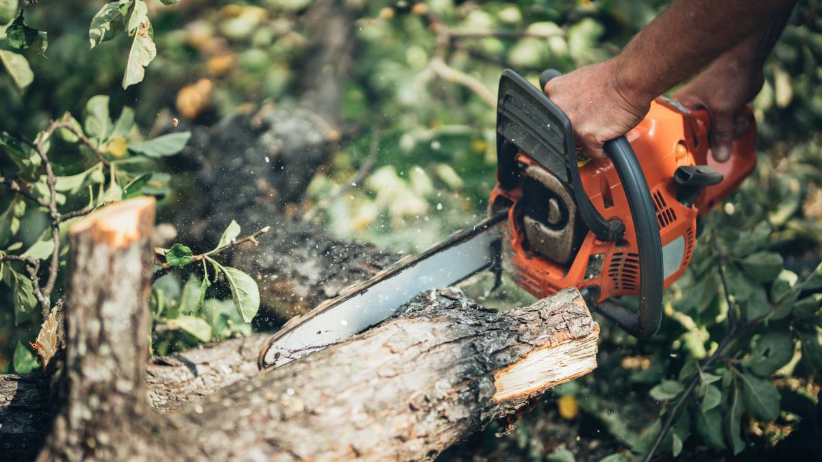cutting a log of wood using a chainsaw