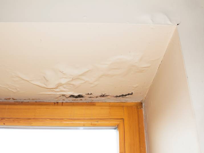 traces of mould on a water-damaged ceiling