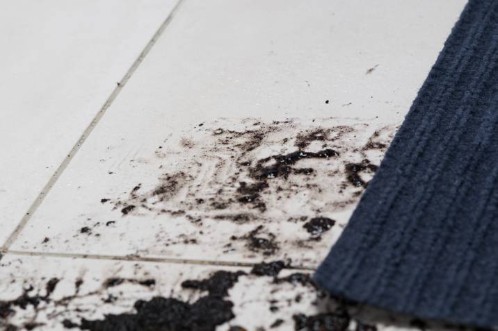 a mouldy carpet on white flooring