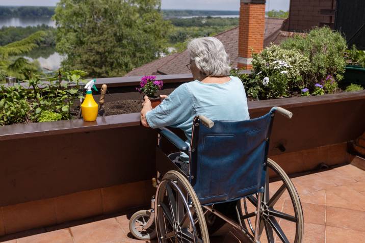 raised garden bed for elderly 