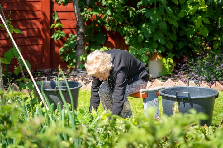 old lady sits on a stool and bends over to work on her garden