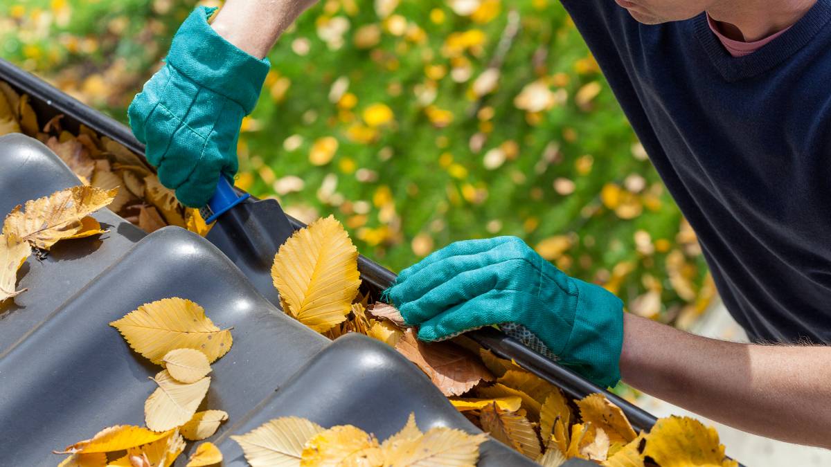 removing leaves from gutter