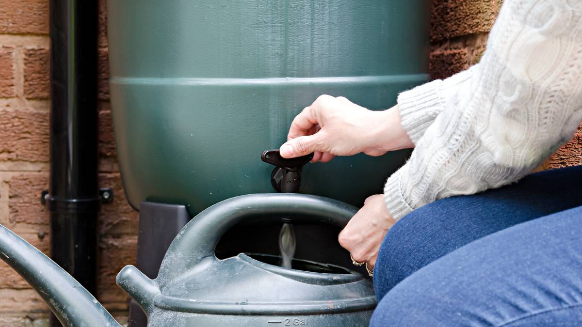 woman getting water from small tank