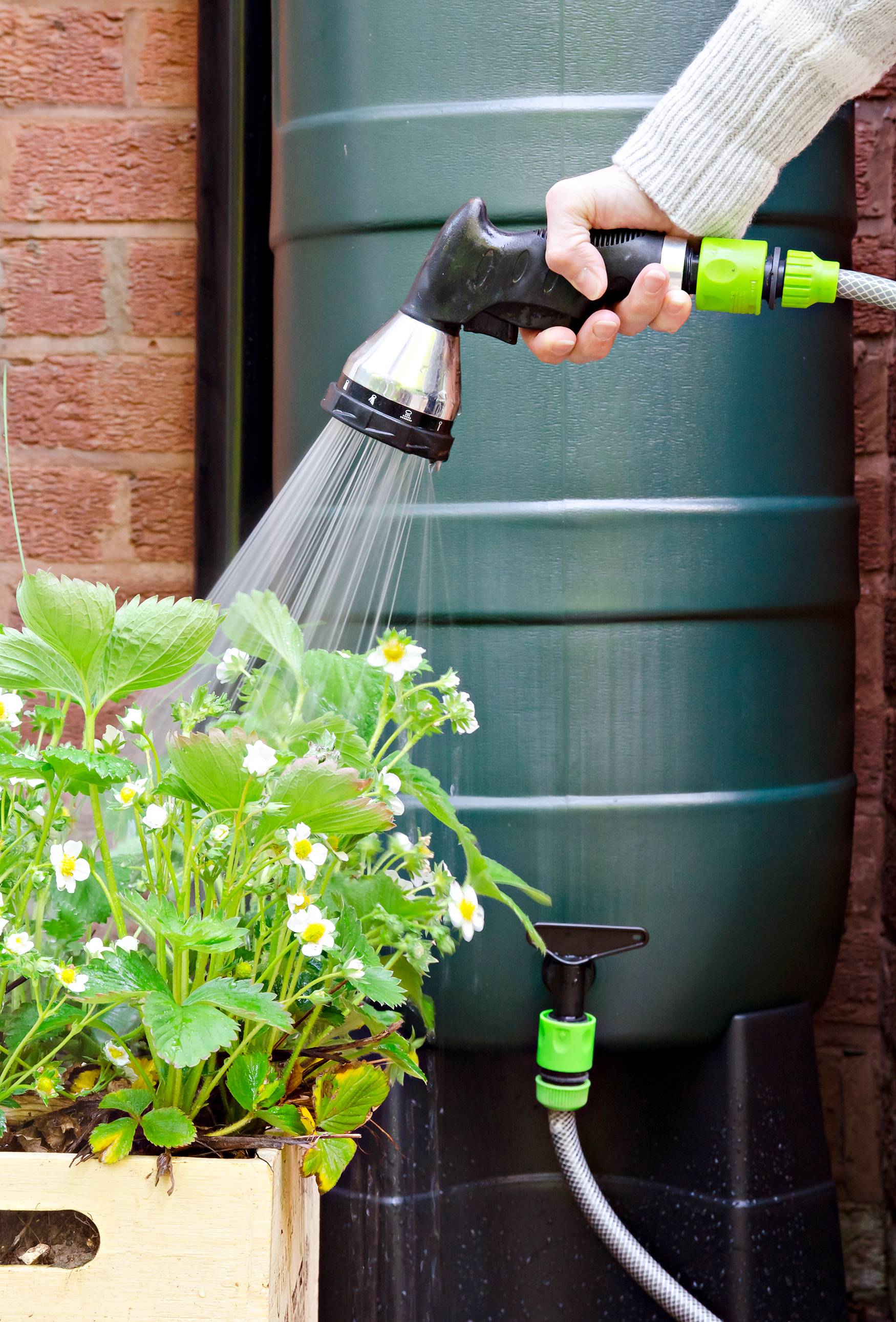a woman using stored rainwater for gardening