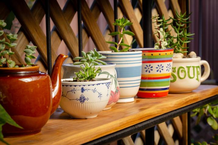 unique container garden ideas with teacups