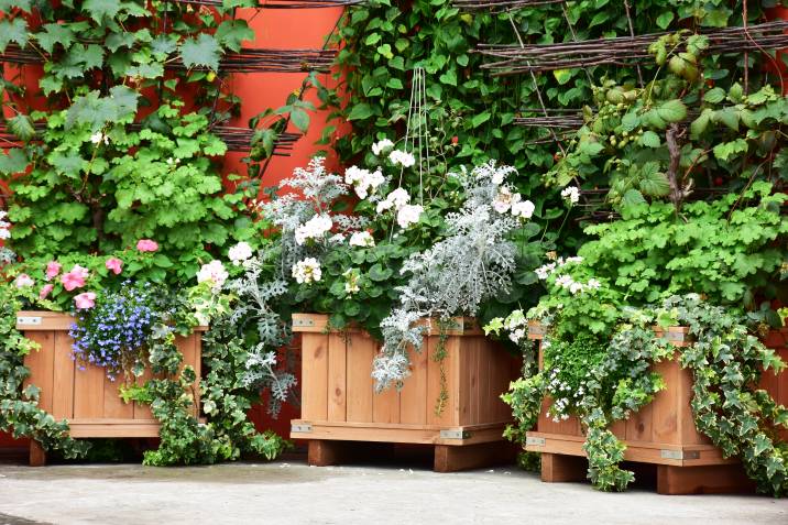 wooden planter boxes