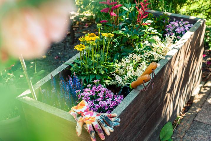 variety of flowers in one large planter