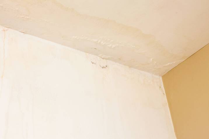water stains on interior ceiling