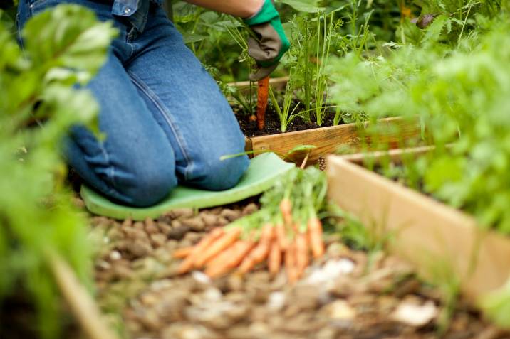 kneeling on a kneeling pad while gardening