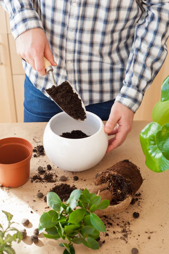 transferring soil with a hand trowel