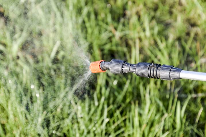 Using chemical herbicides to kill weeds