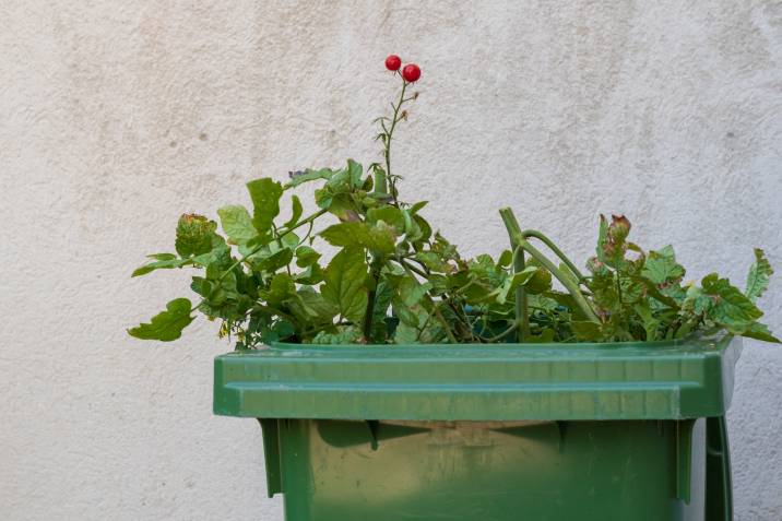 Disposing of weeds and weed stems