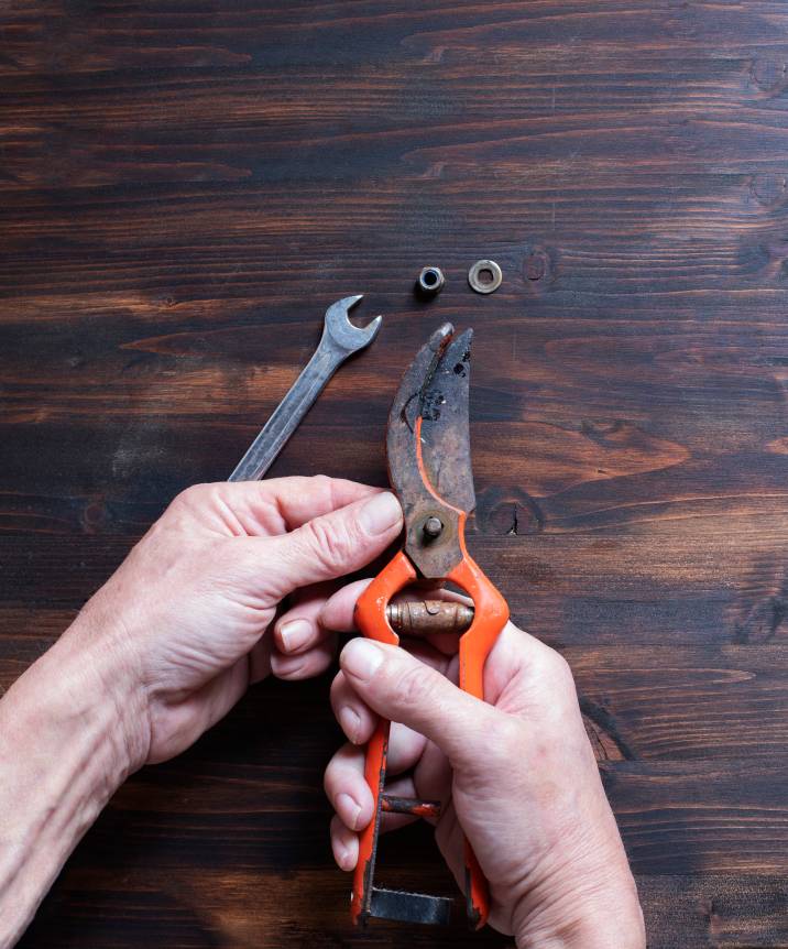 Garden shears disassembled to get ready for cleaning and sharpening