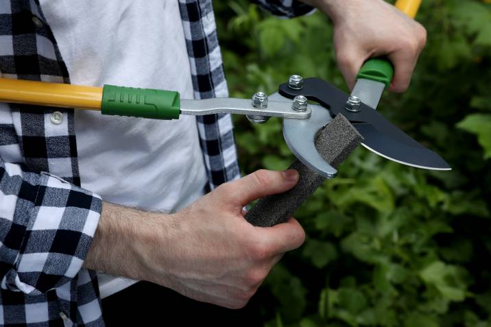 A man sharpening garden pruning shears