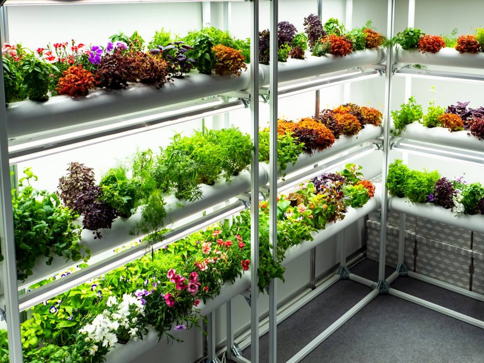How To Start A Hydroponic Garden