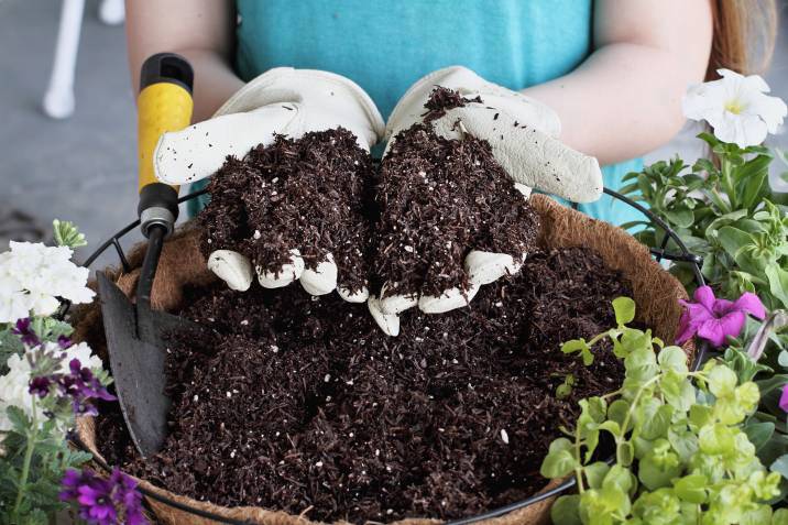 potting soil in woman's hands