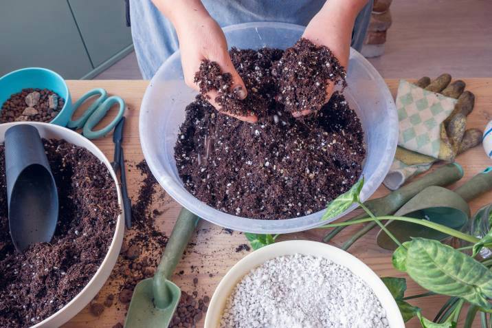 woman mixing potting mix for indoor plants