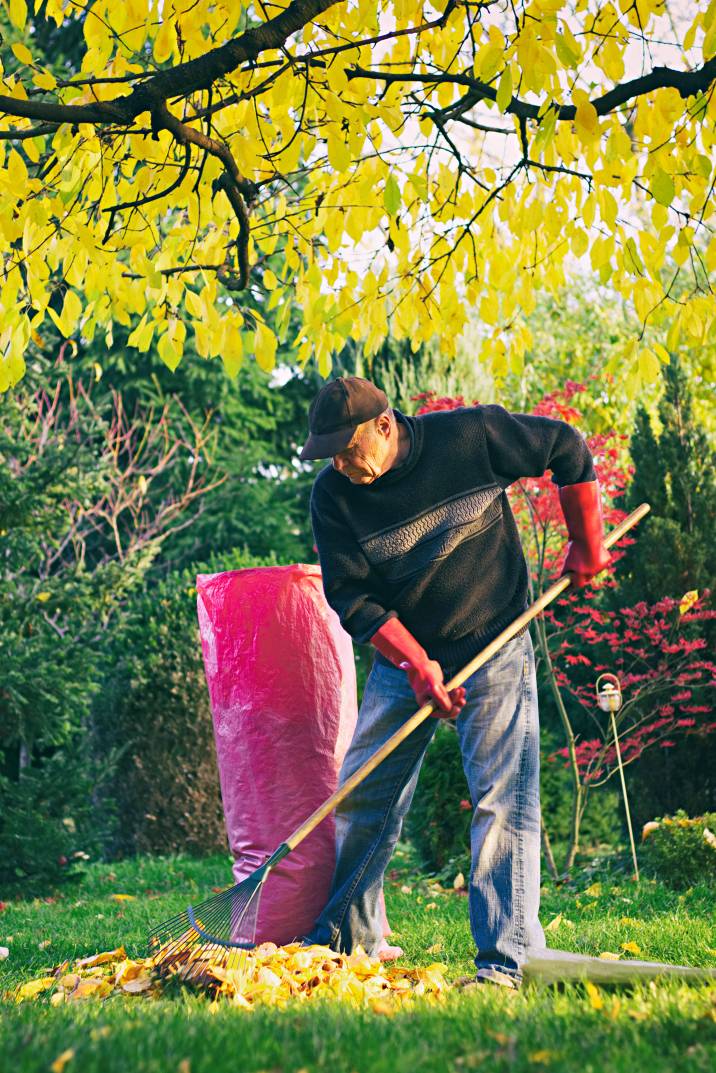 a gardener removing garden waste