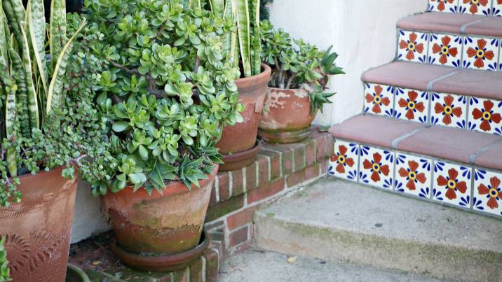 garden stairs with patterned tiles