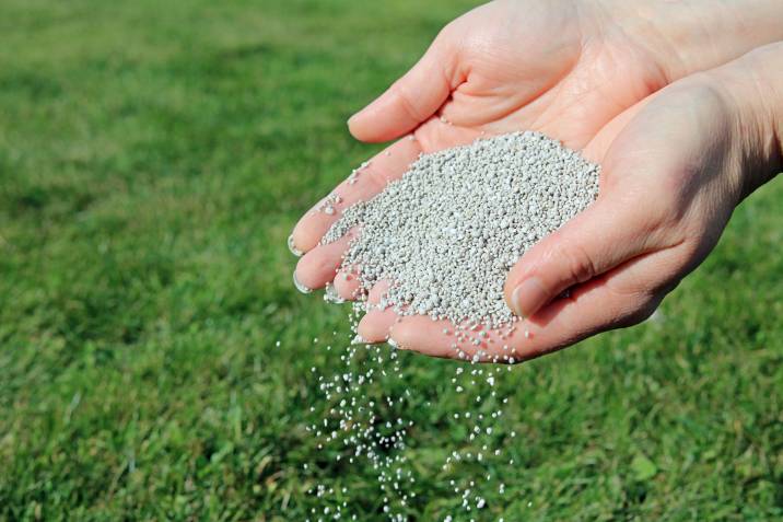a person holding some lawn fertiliser