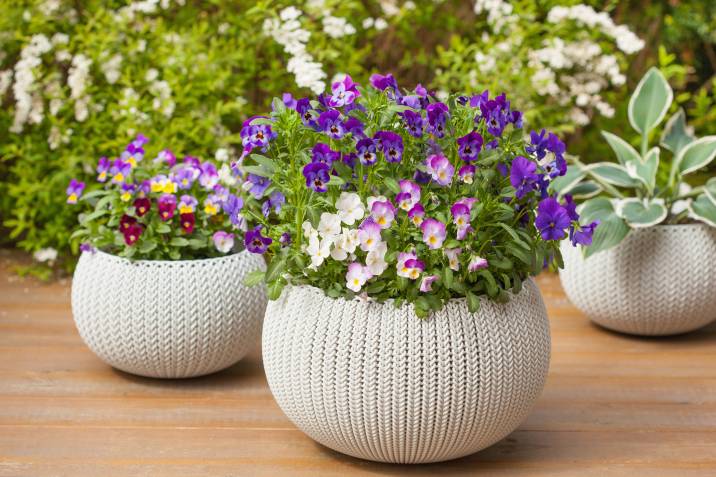 white plant pots for contemporary garden