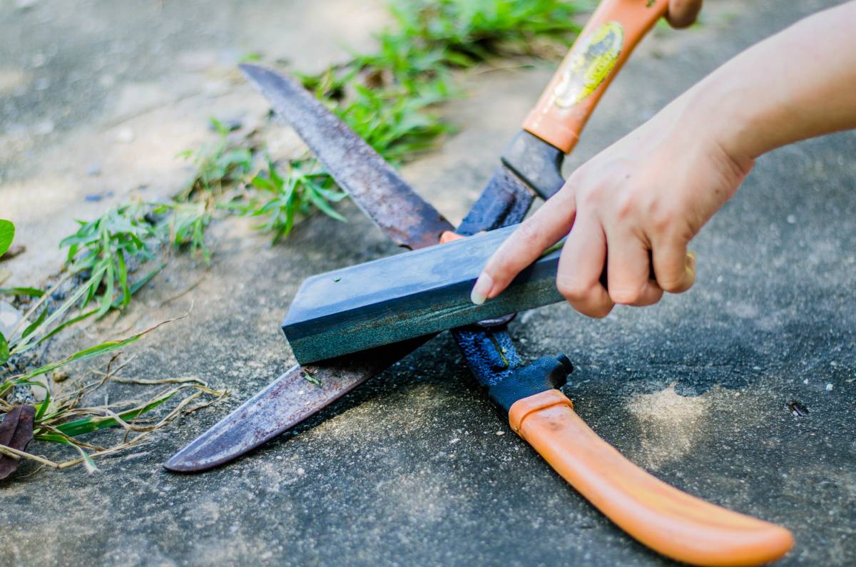 The Best Way to Keep Your Gardening Tools Sharp: A Review of
