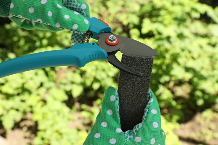 wearing gloves when sharpening garden shears