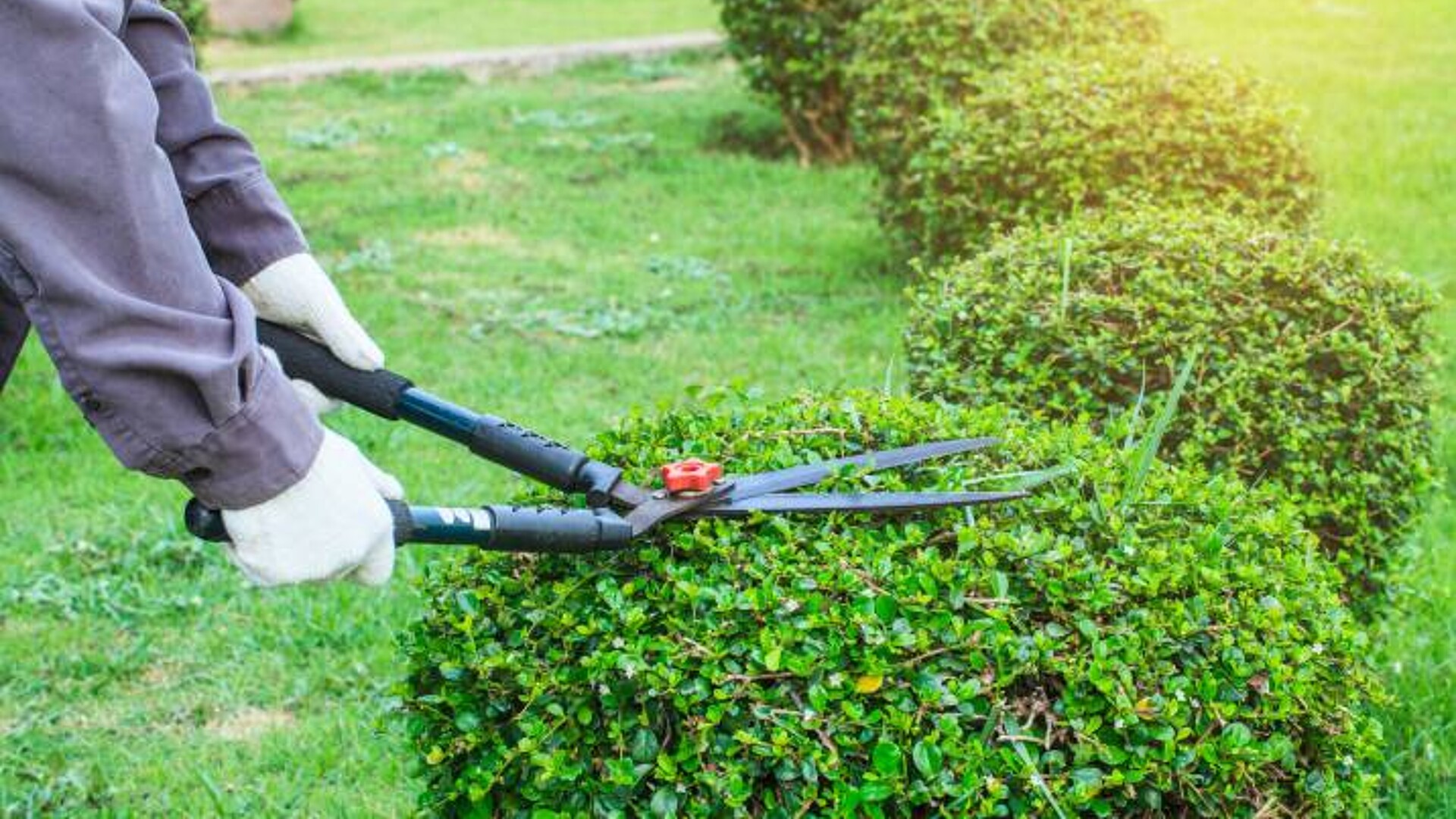 How to sharpen your tools  Organic Gardener Magazine Australia