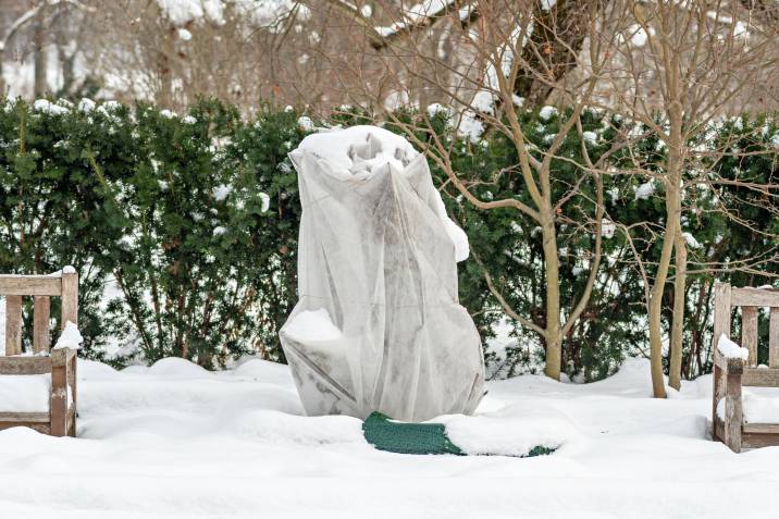 a garden with much snowfall