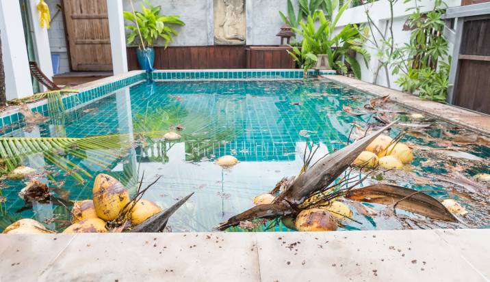 dirty swimming pool with fallen leaves and debris