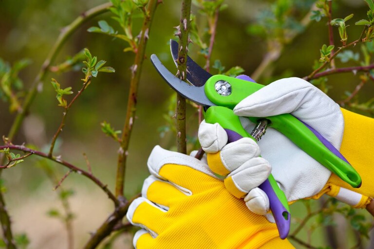 Sharpening Services near you Find Best Rated Local Services