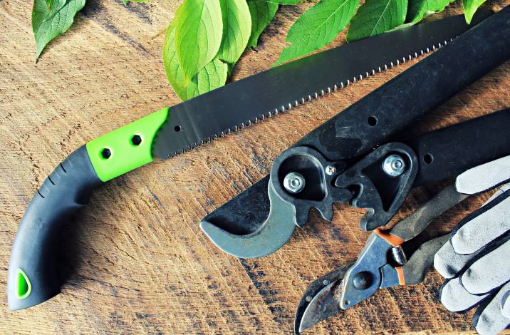 gardening tools on a table