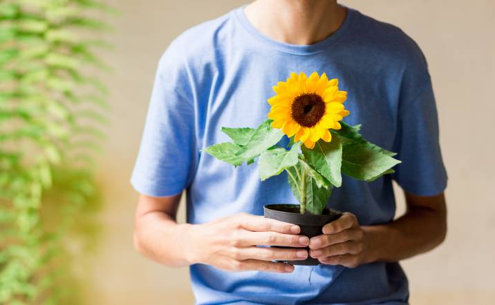 man holding a small sunflower in a pot in a home garden
