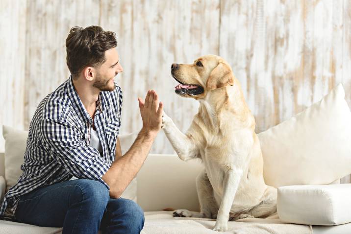 a man playing with a dog