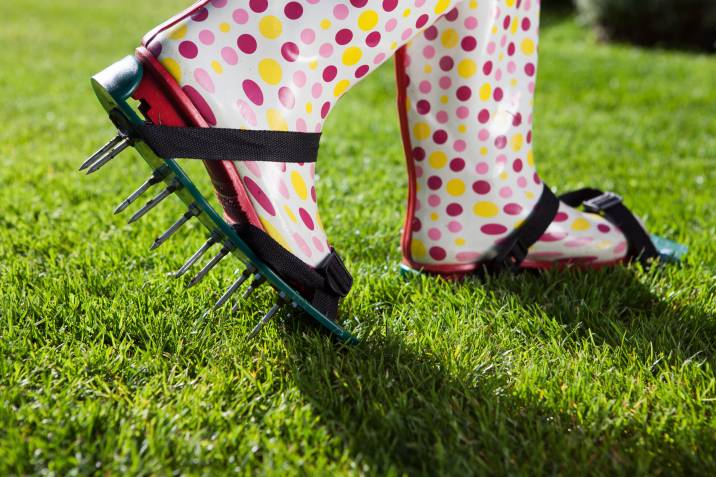 autumn lawn care, woman walking on lawn with spiked revitalising aerating shoes