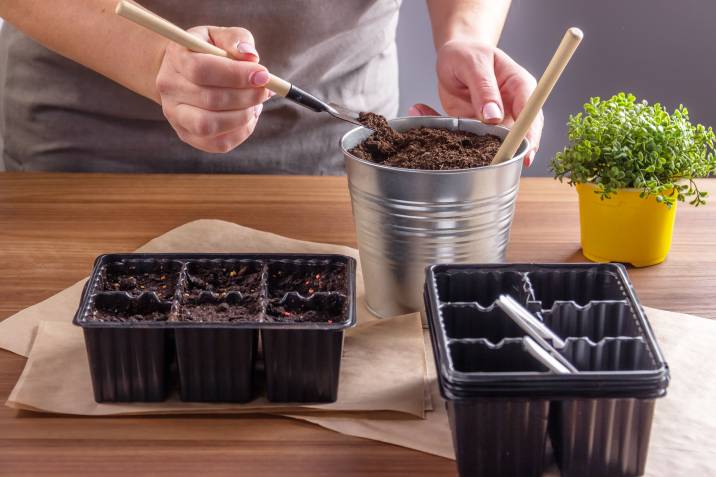 container for herb seeds planting