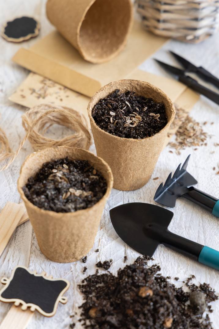 herb seeds in biodegradable pots